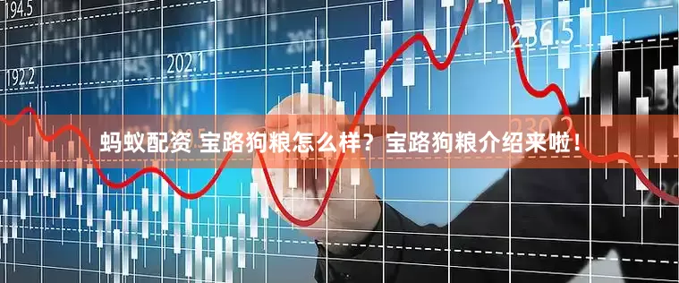 蚂蚁配资 宝路狗粮怎么样？宝路狗粮介绍来啦！